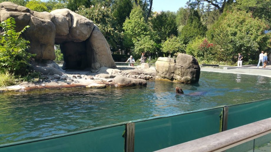 Central Park Zoo - Foto 6