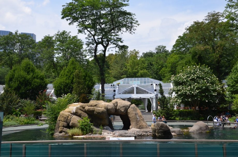 Central Park Zoo - Foto 10