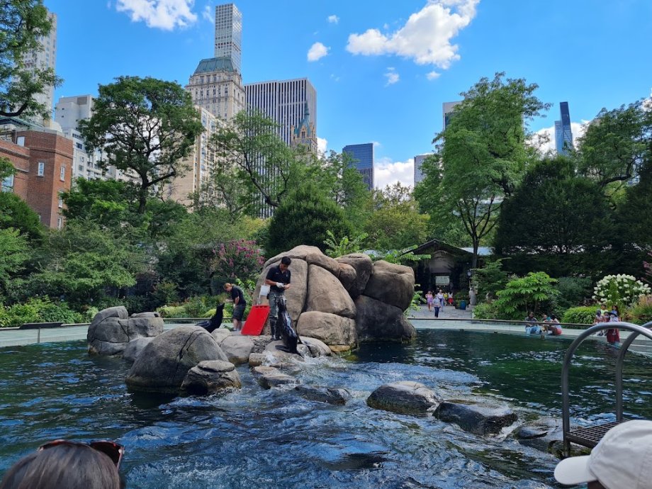 Central Park Zoo - Foto 13