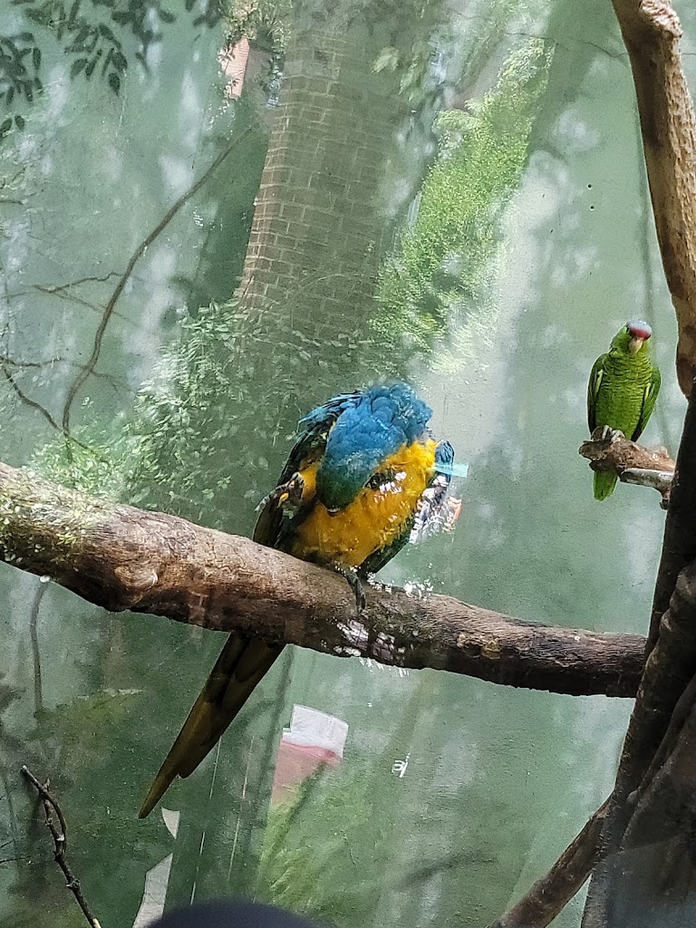 Central Park Zoo - Foto 15