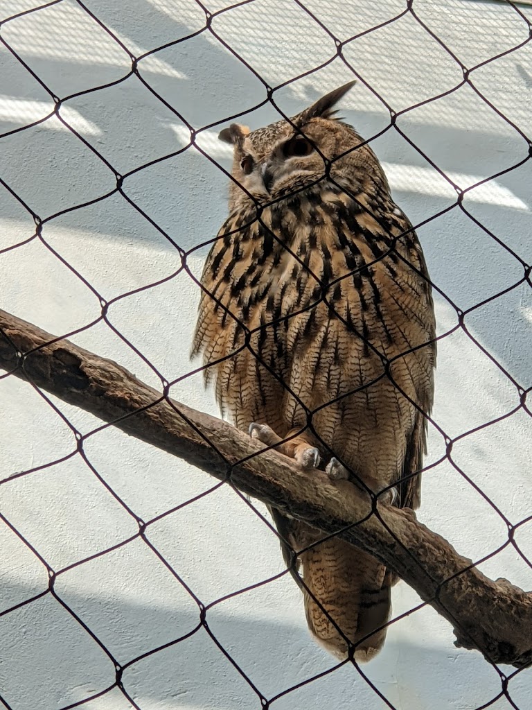 Central Park Zoo - Foto 1