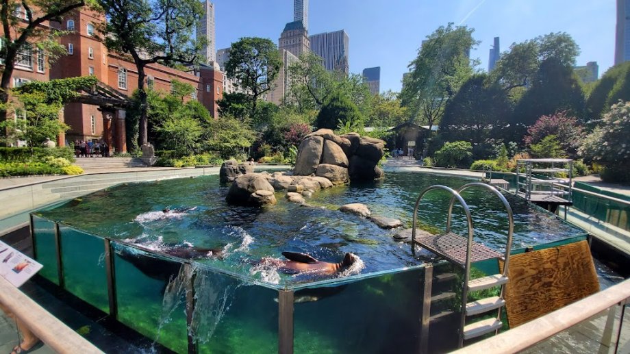 Central Park Zoo - Foto 18