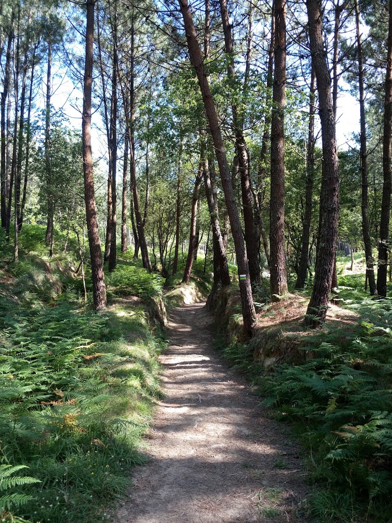 Parque Infantil Do Galleiro - Foto 1