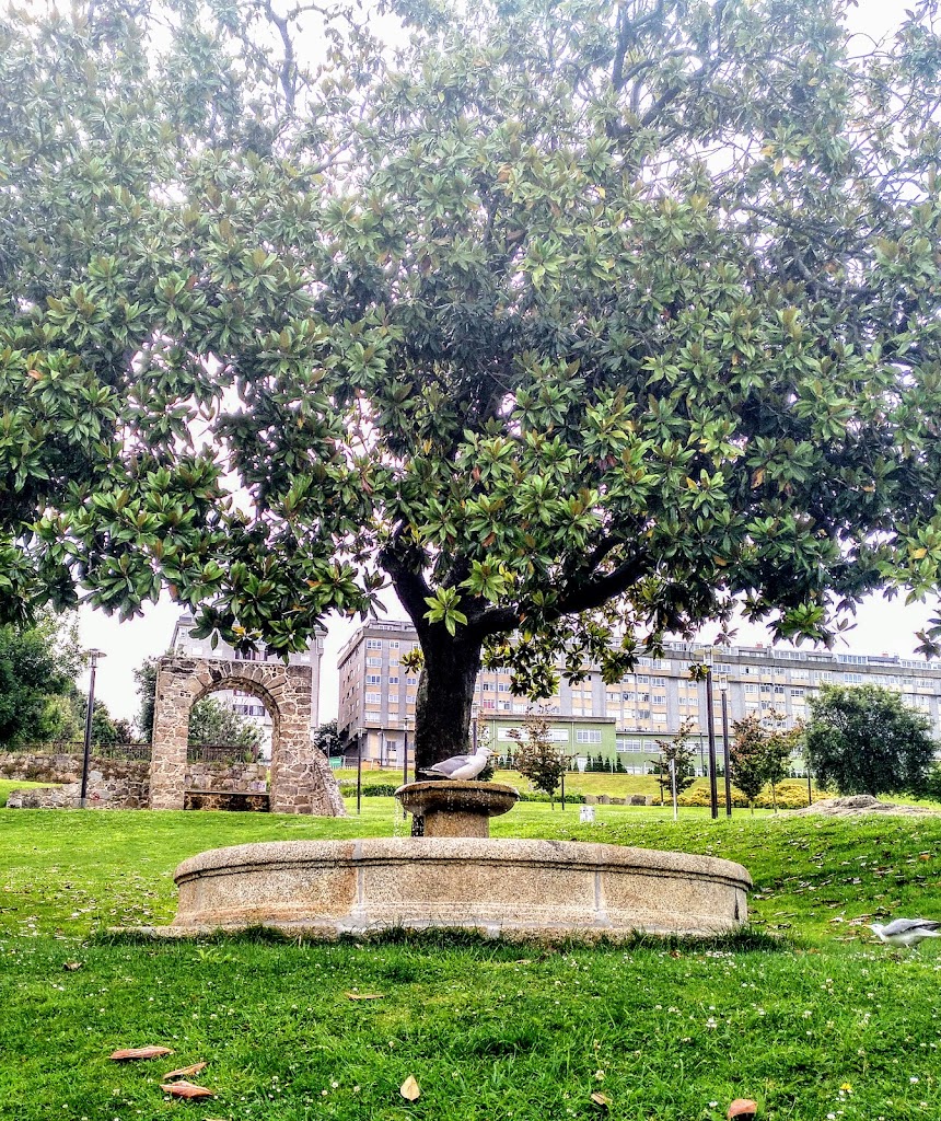 Parque de Oza - Foto 10