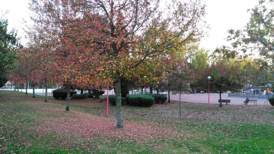 Área de Juegos - Foto 3