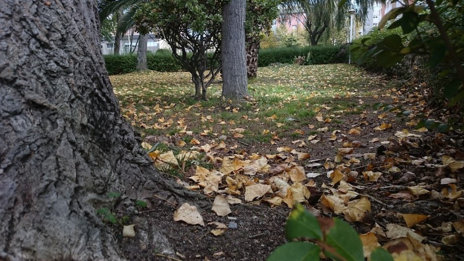 Área de Juegos - Foto 8