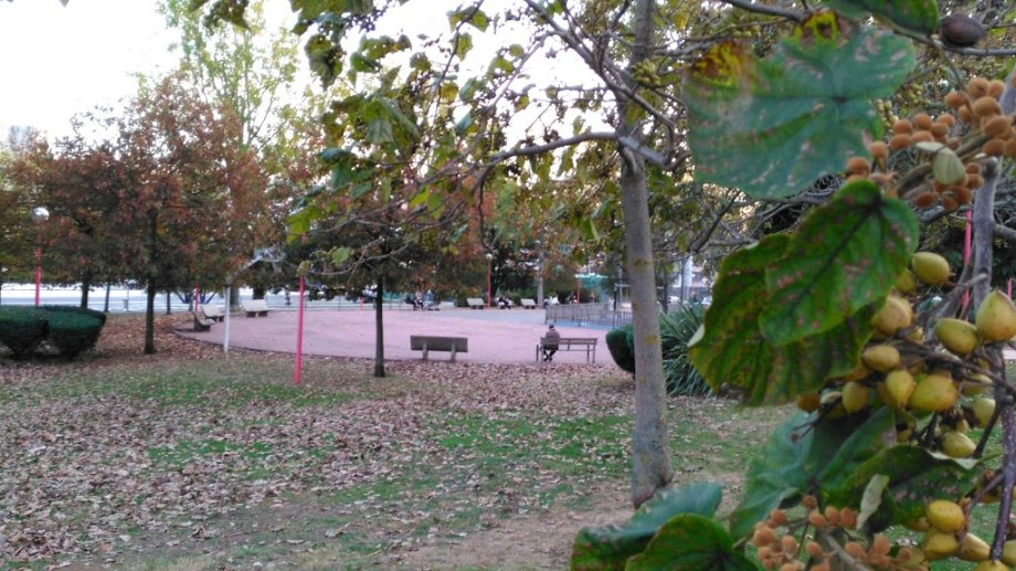 Área de Juegos - Foto 10