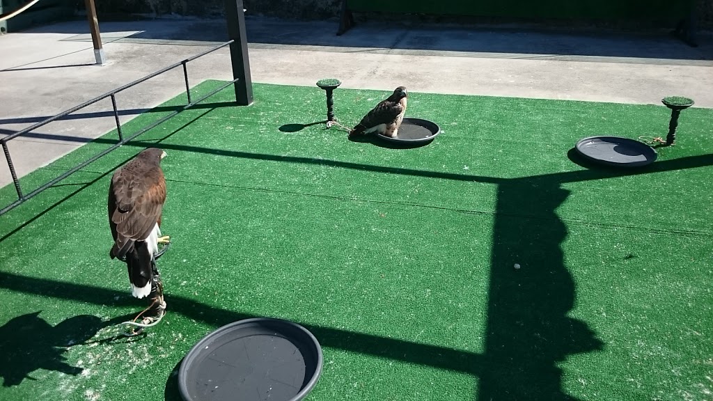 Parque de Atracciones Monte Igueldo 21