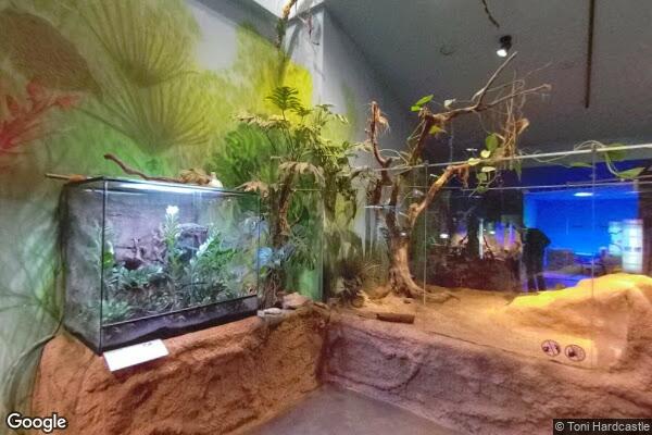 Eureka! Zientzia Museoa - Foto 8