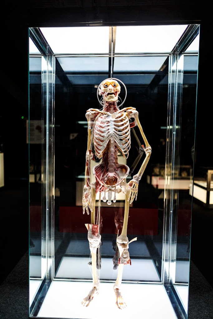 Eureka! Zientzia Museoa - Foto 20