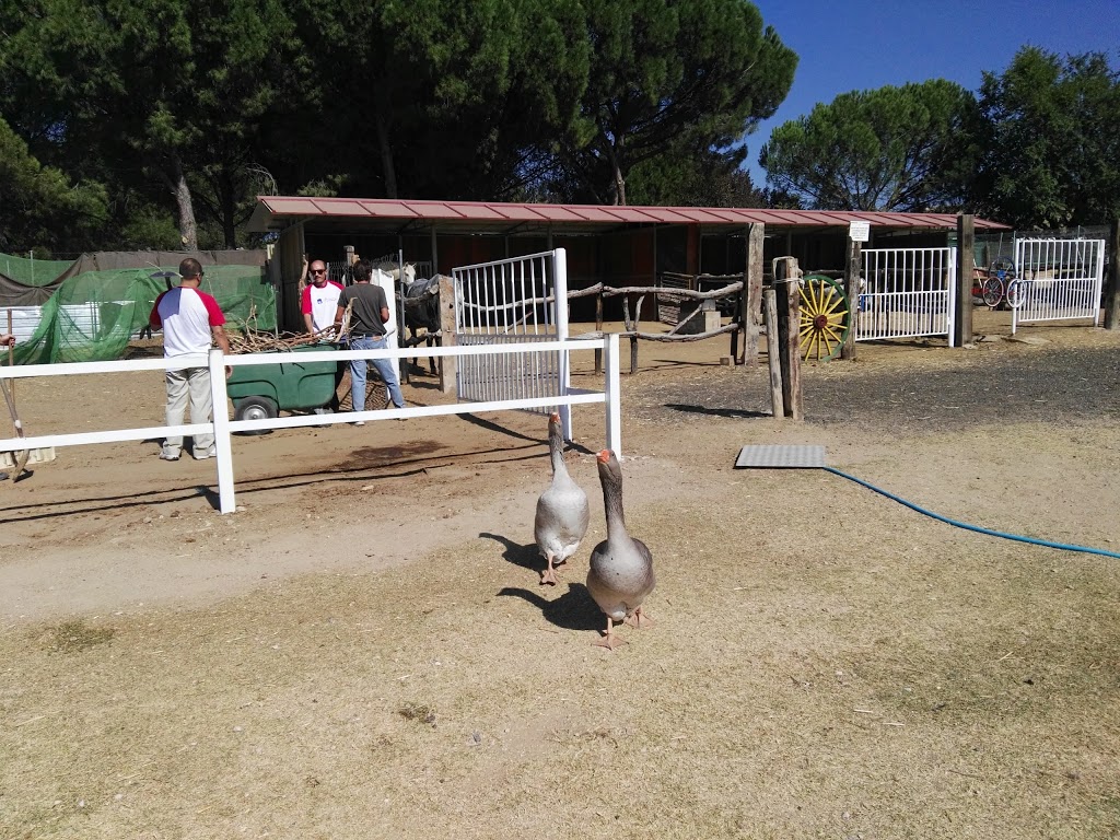 Amigos del Burro - Burrolandia