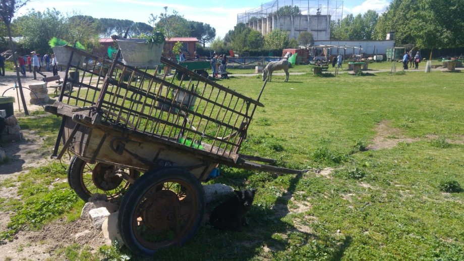Amigos del Burro - Burrolandia - Foto 2