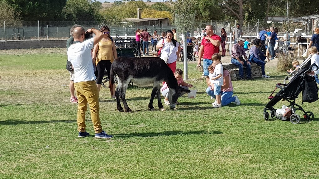 Amigos del Burro - Burrolandia - Foto 1