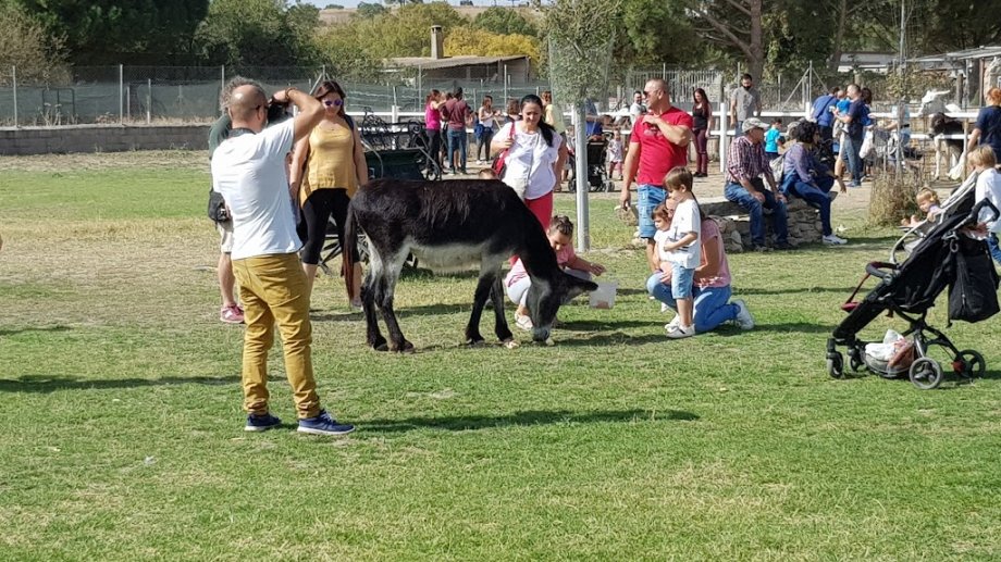 Amigos del Burro - Burrolandia - Foto 3