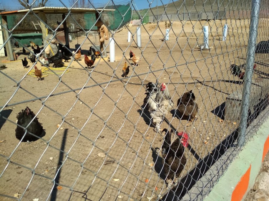 Amigos del Burro - Burrolandia - Foto 4