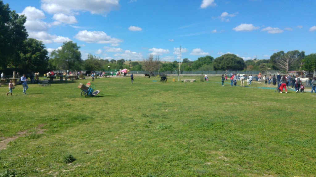 Amigos del Burro - Burrolandia - Foto 1