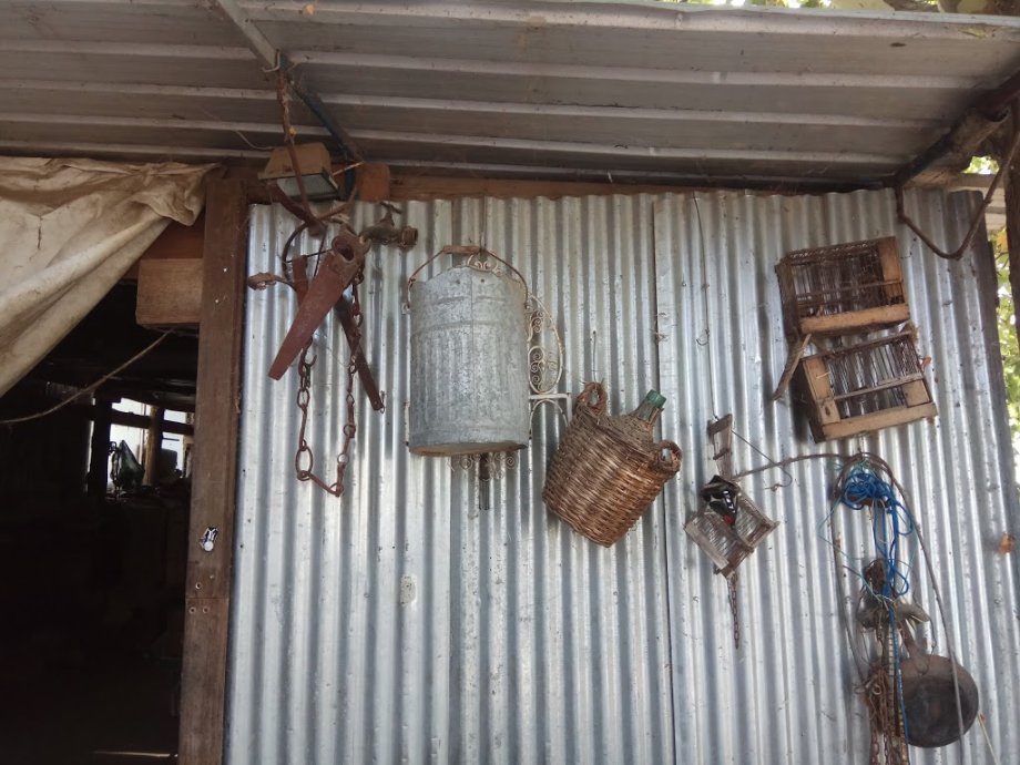 Amigos del Burro - Burrolandia - Foto 7