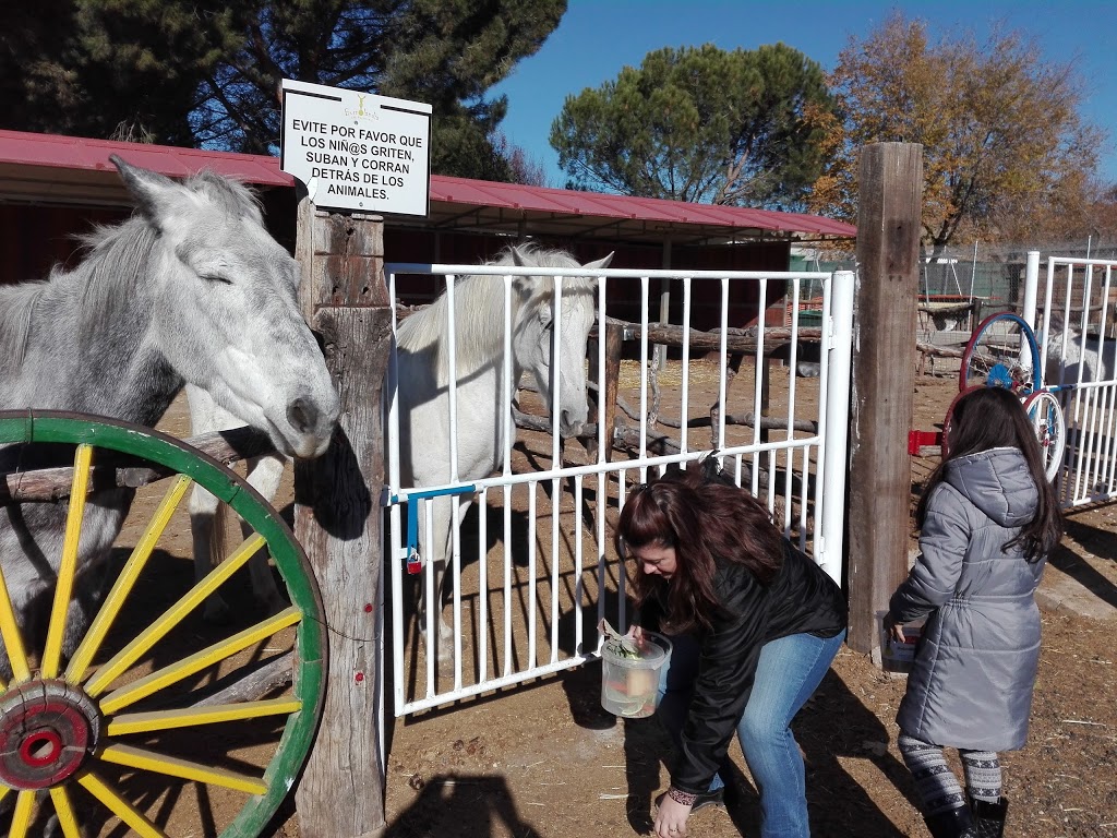 Amigos del Burro - Burrolandia - Foto 1