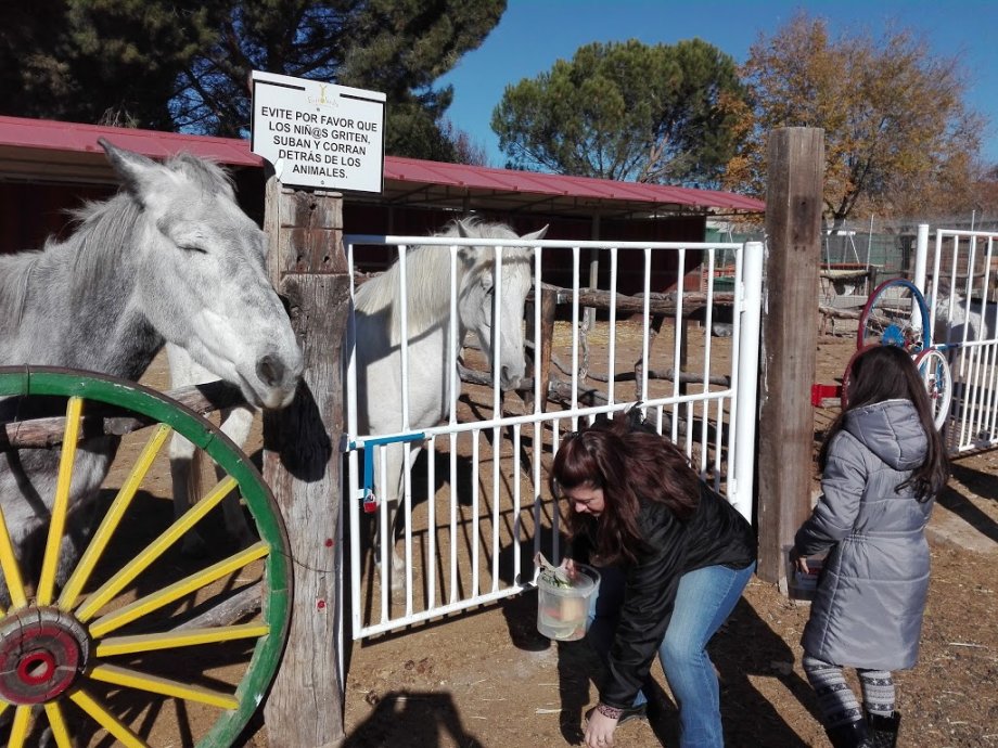 Amigos del Burro - Burrolandia - Foto 8