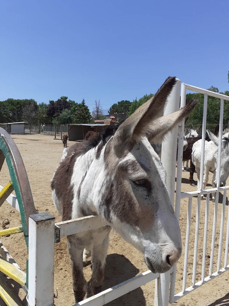 Amigos del Burro - Burrolandia - Foto 12