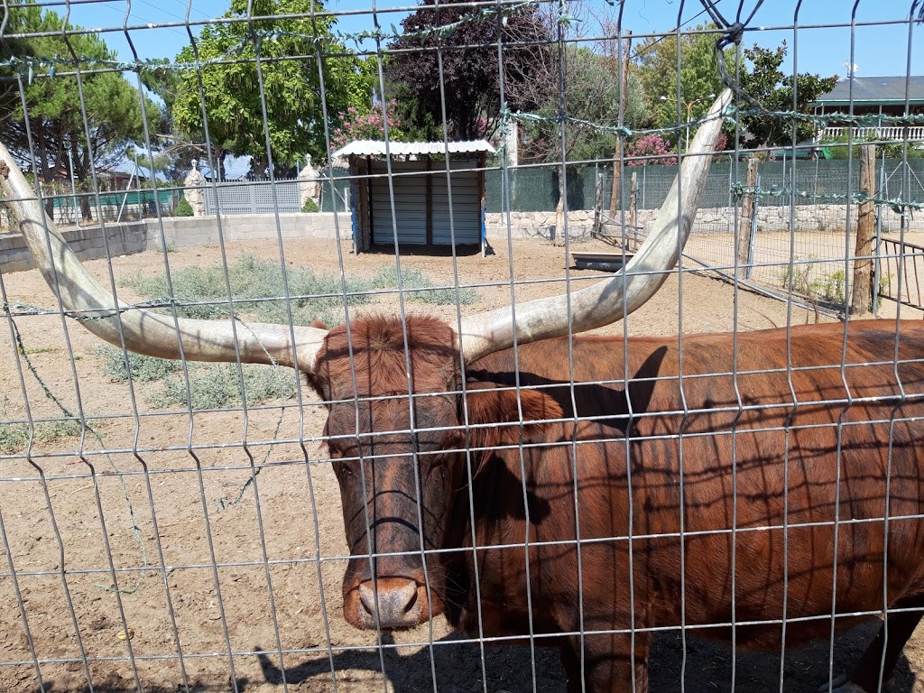 Amigos del Burro - Burrolandia - Foto 1