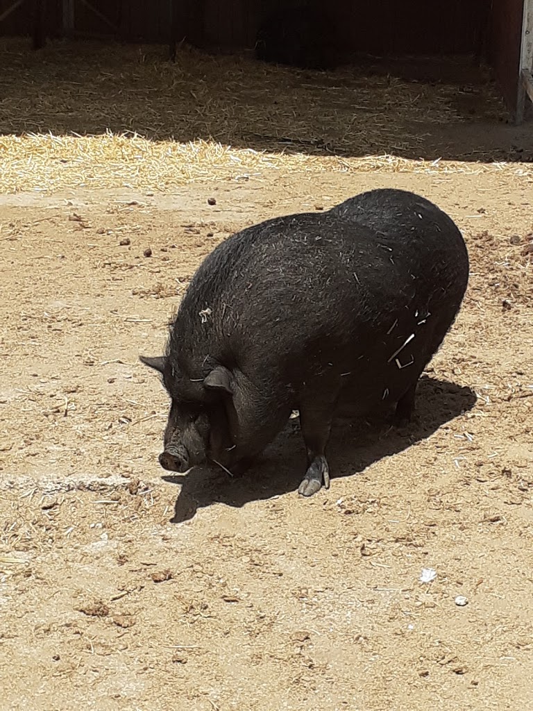 Amigos del Burro - Burrolandia - Foto 16