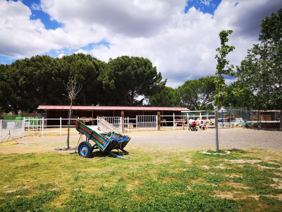 Amigos del Burro - Burrolandia - Foto 17