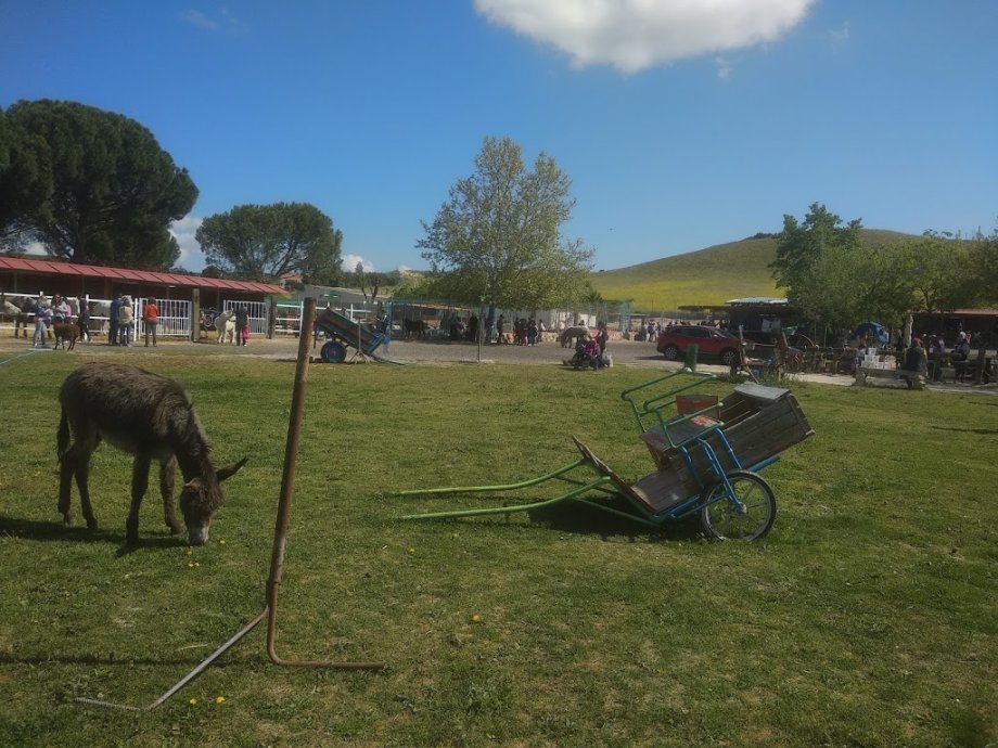 Amigos del Burro - Burrolandia - Foto 18