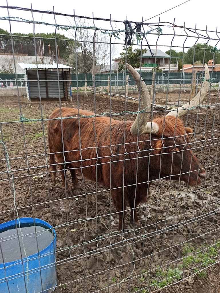 Amigos del Burro - Burrolandia - Foto 23