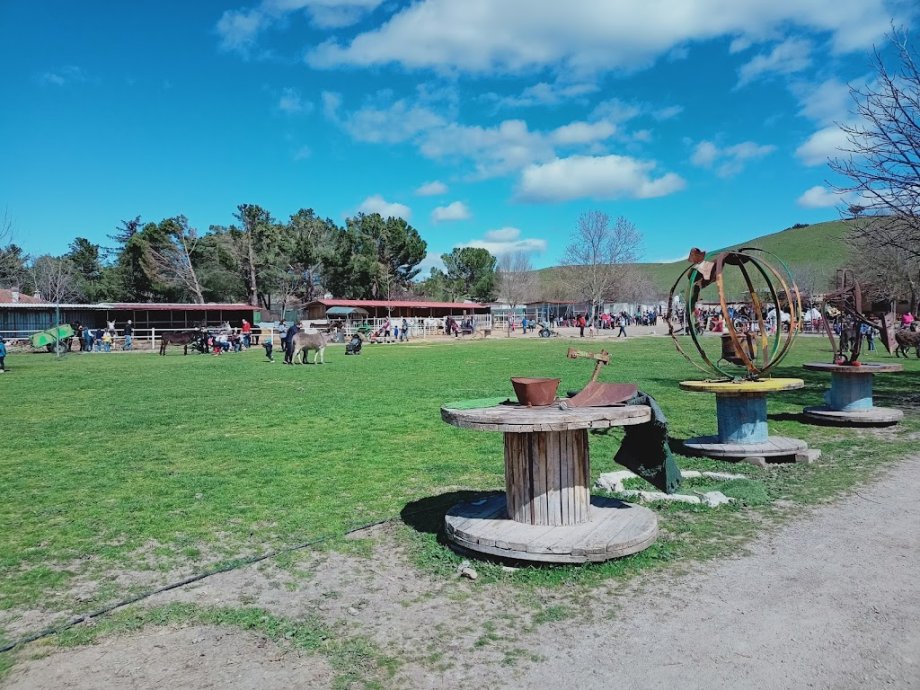 Amigos del Burro - Burrolandia - Foto 26