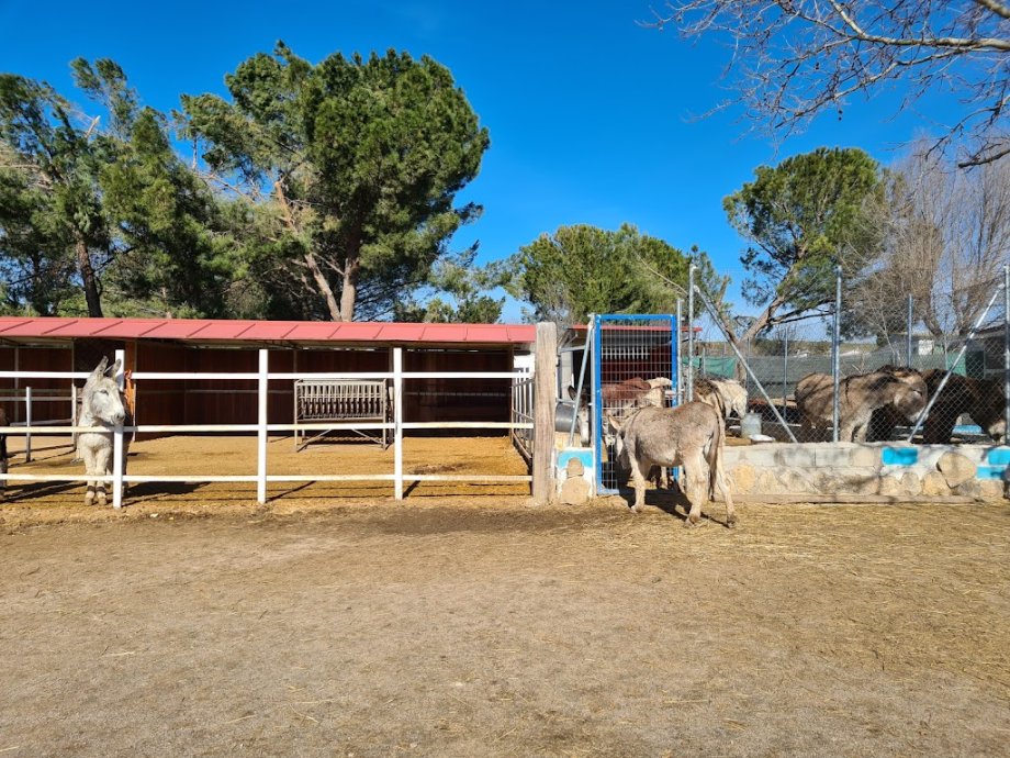 Amigos del Burro - Burrolandia - Foto 28