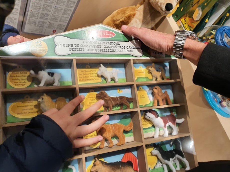 Dideco Valencia Tienda de Juguetes y libros - Foto 14