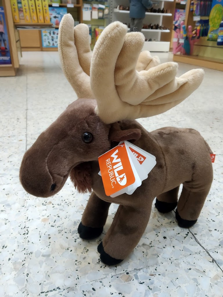 Dideco Xaudaró Tienda de Juguetes y Libros - Foto 19