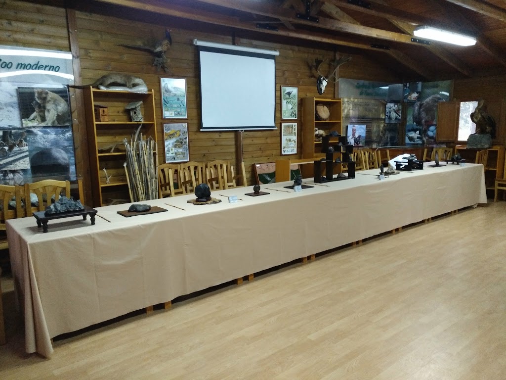 Zoo de Guadalajara - Foto 1