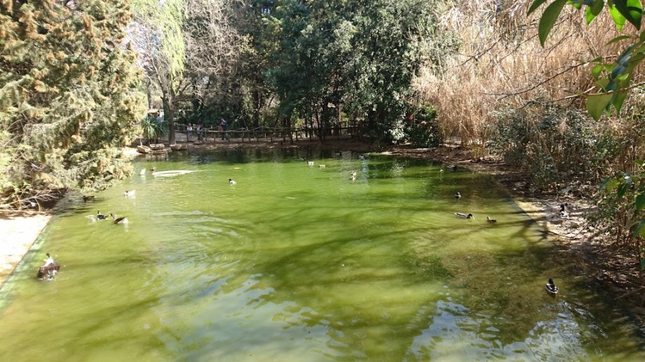 Zoo de Guadalajara - Foto 3