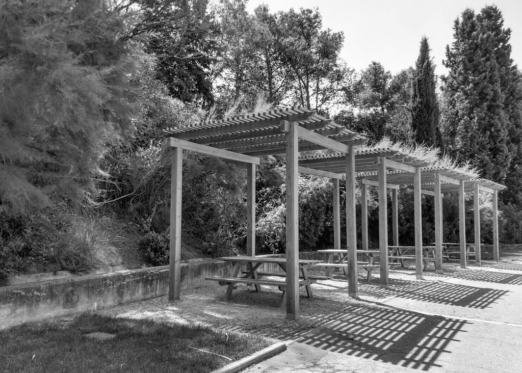 Zoo de Guadalajara - Foto 1