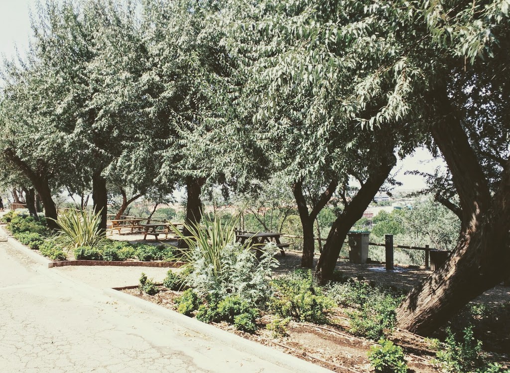 Zoo de Guadalajara 19