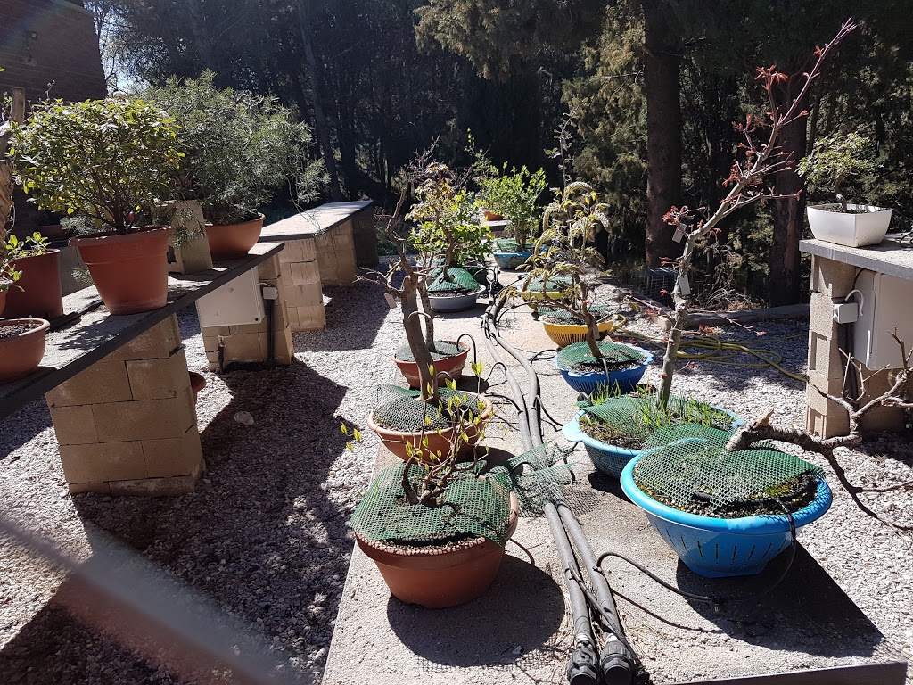 Zoo de Guadalajara - Foto 1