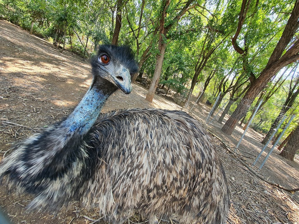 Zoo de Guadalajara - Foto 1