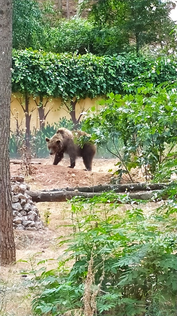 Zoo de Guadalajara 5