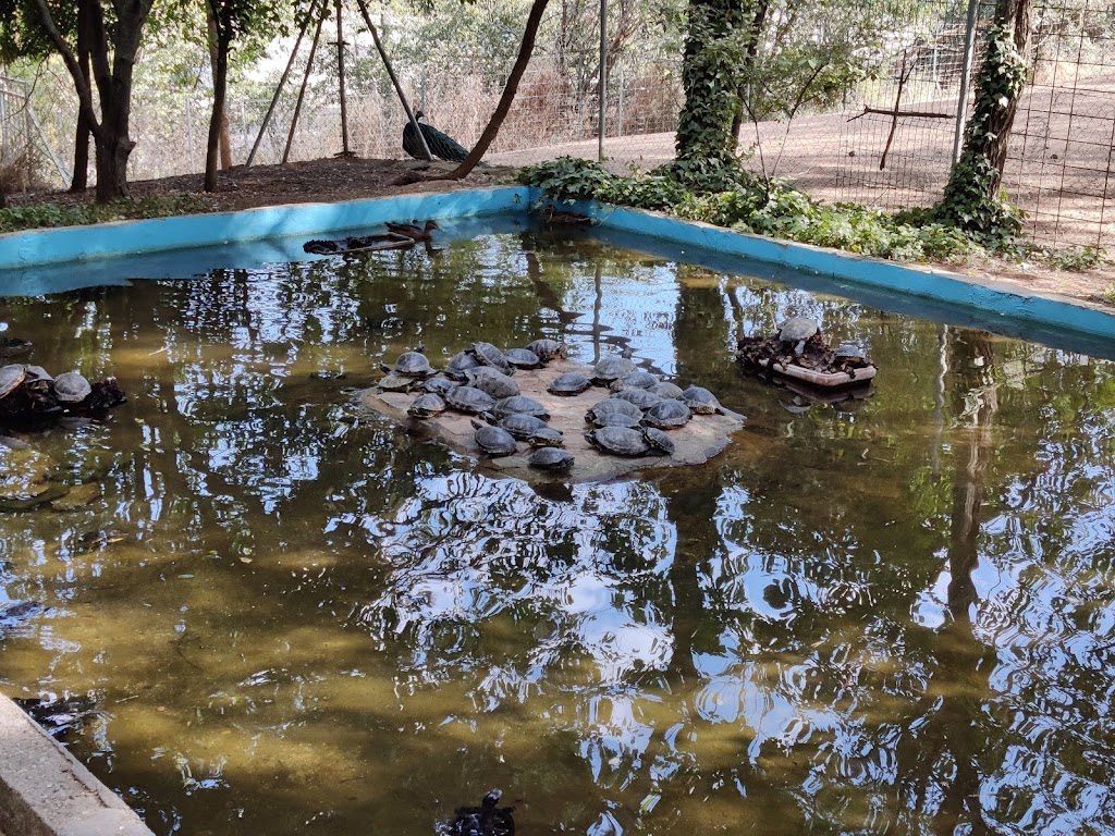 Zoo de Guadalajara - Foto 1