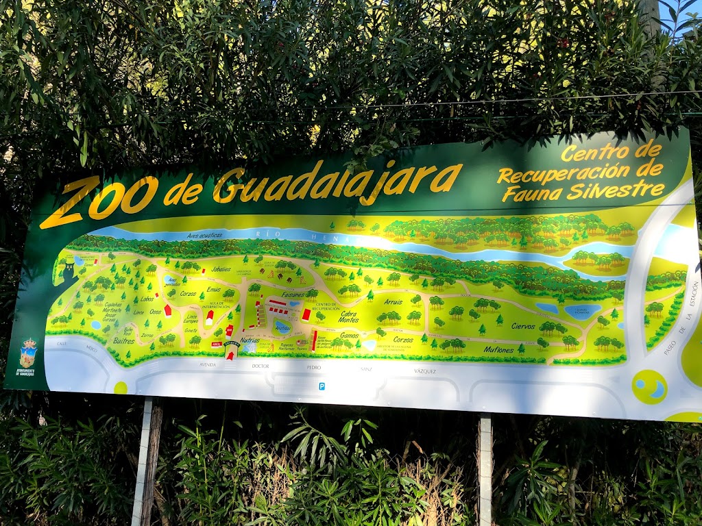 Zoo de Guadalajara 9