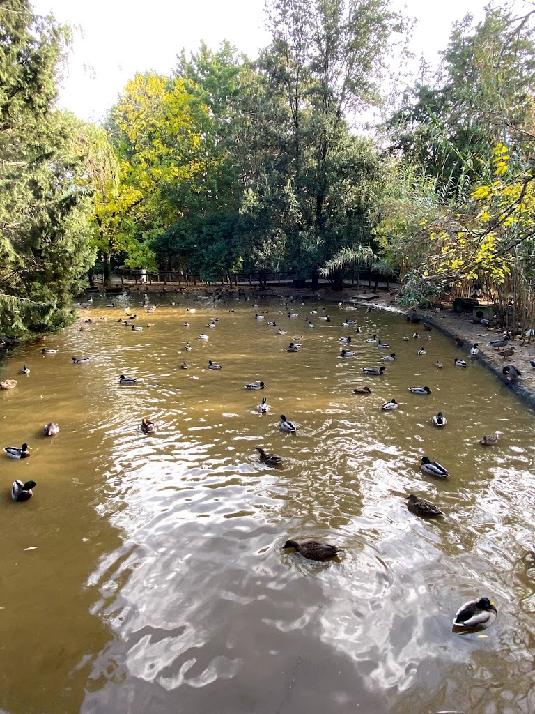 Zoo de Guadalajara - Foto 20