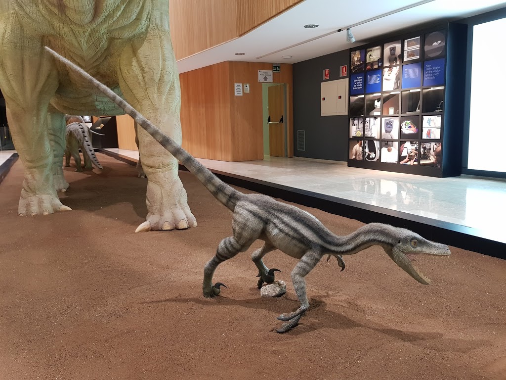 Museo Paleontológico de Castilla-La Mancha - Foto 1