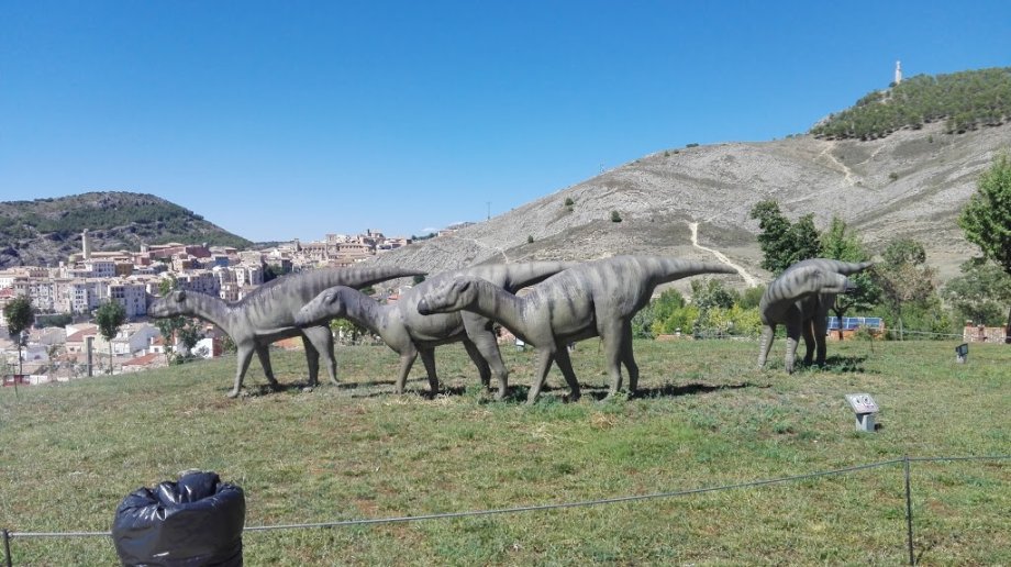Museo Paleontológico de Castilla-La Mancha - Foto 3