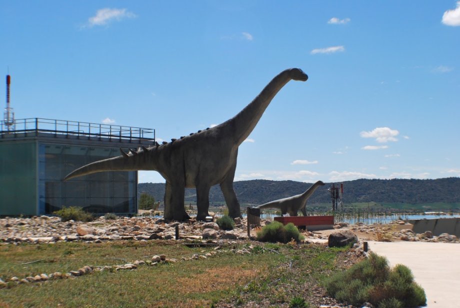 Museo Paleontológico de Castilla-La Mancha - Foto 5