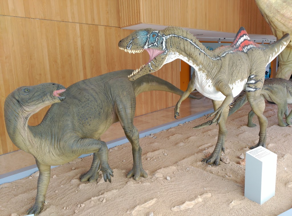 Museo Paleontológico de Castilla-La Mancha - Foto 1