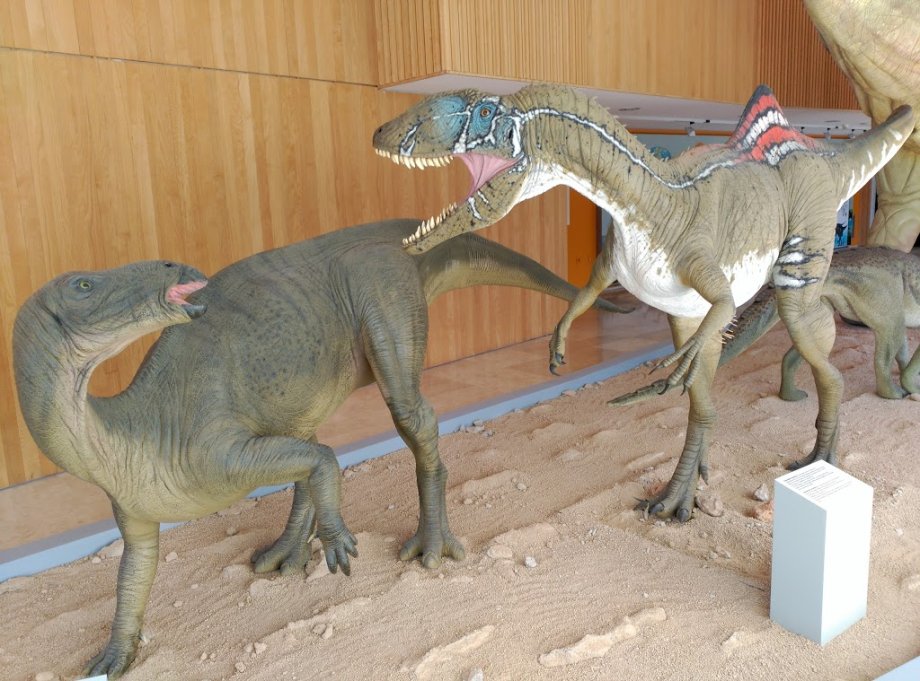 Museo Paleontológico de Castilla-La Mancha - Foto 6