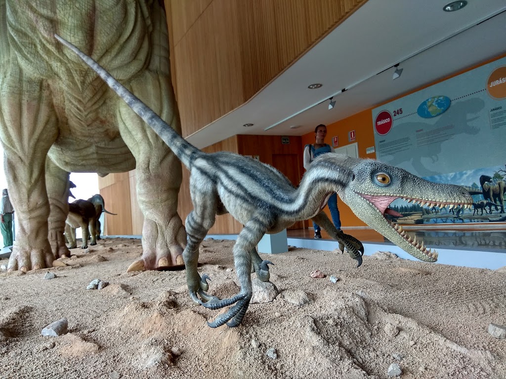Museo Paleontológico de Castilla-La Mancha - Foto 1