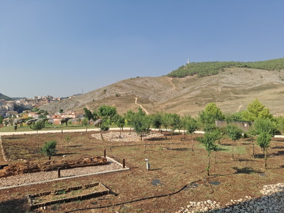 Museo Paleontológico de Castilla-La Mancha - Foto 9